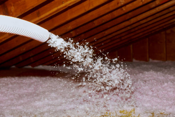 Best Types of Insulation in Pleasant Hill, MO