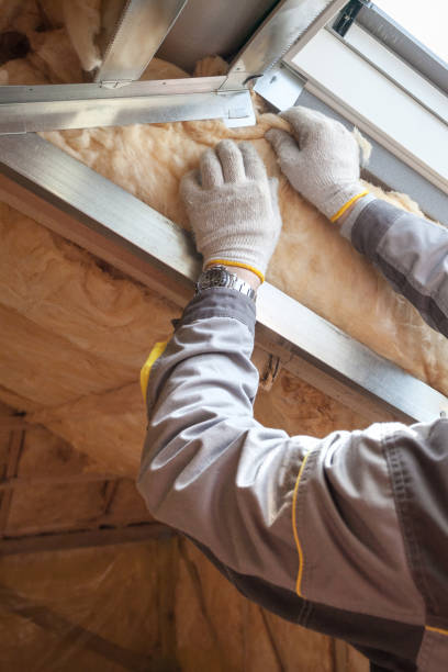 Best Types of Insulation in Pleasant Hill, MO