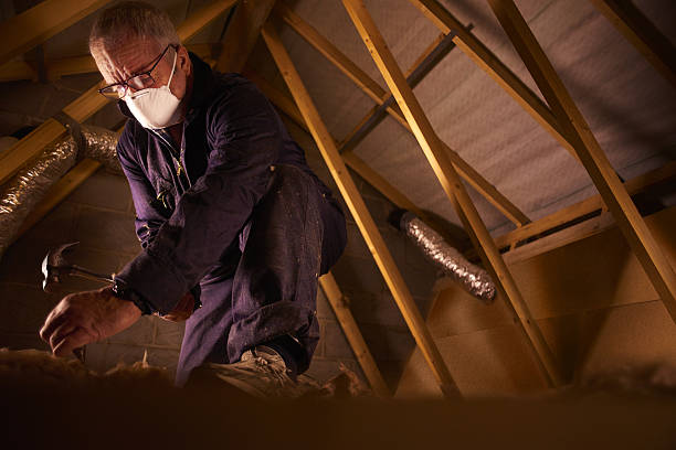 Best Insulation for Specific Applications in Pleasant Hill, MO